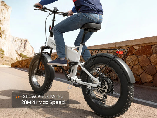 Dachshund Pro rear motor and drivetrain feature illustration