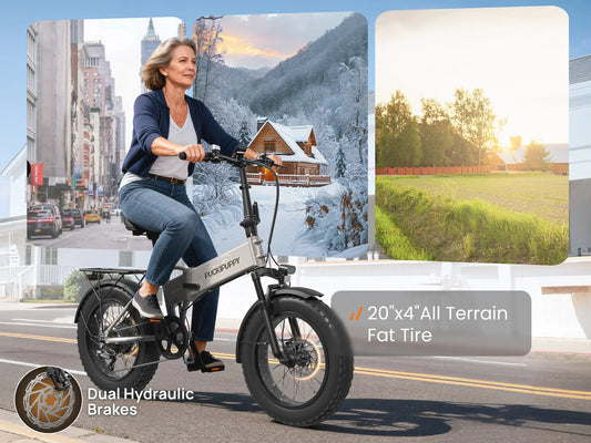 Dachshund fat tire and hydraulic brake feature illustration