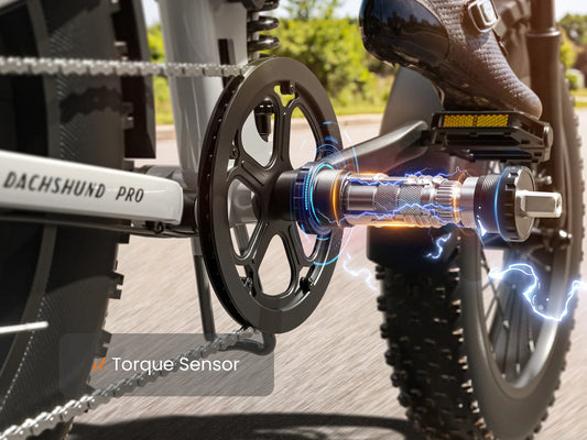 Dachshund Pro torque sensor feature illustration