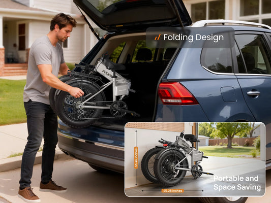 Dachshund folded-frame illustration and vehicle-loading example