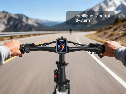 Dachshund Pro color LCD and handlebar controls
