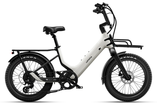Carbon Joy Ultra E-Bike