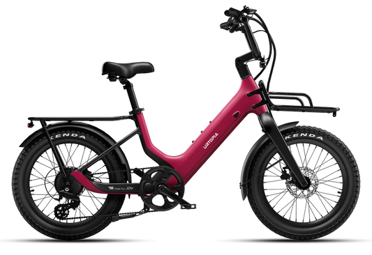 Carbon Joy Ultra E-Bike