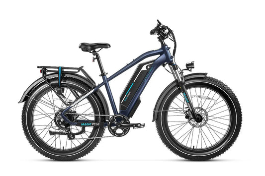 Cruiser Pro Step-Over