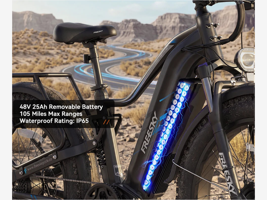 48V 25Ah battery on the dual motor fat tire electric bike