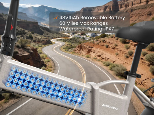 Dachshund 48V 15Ah battery feature illustration